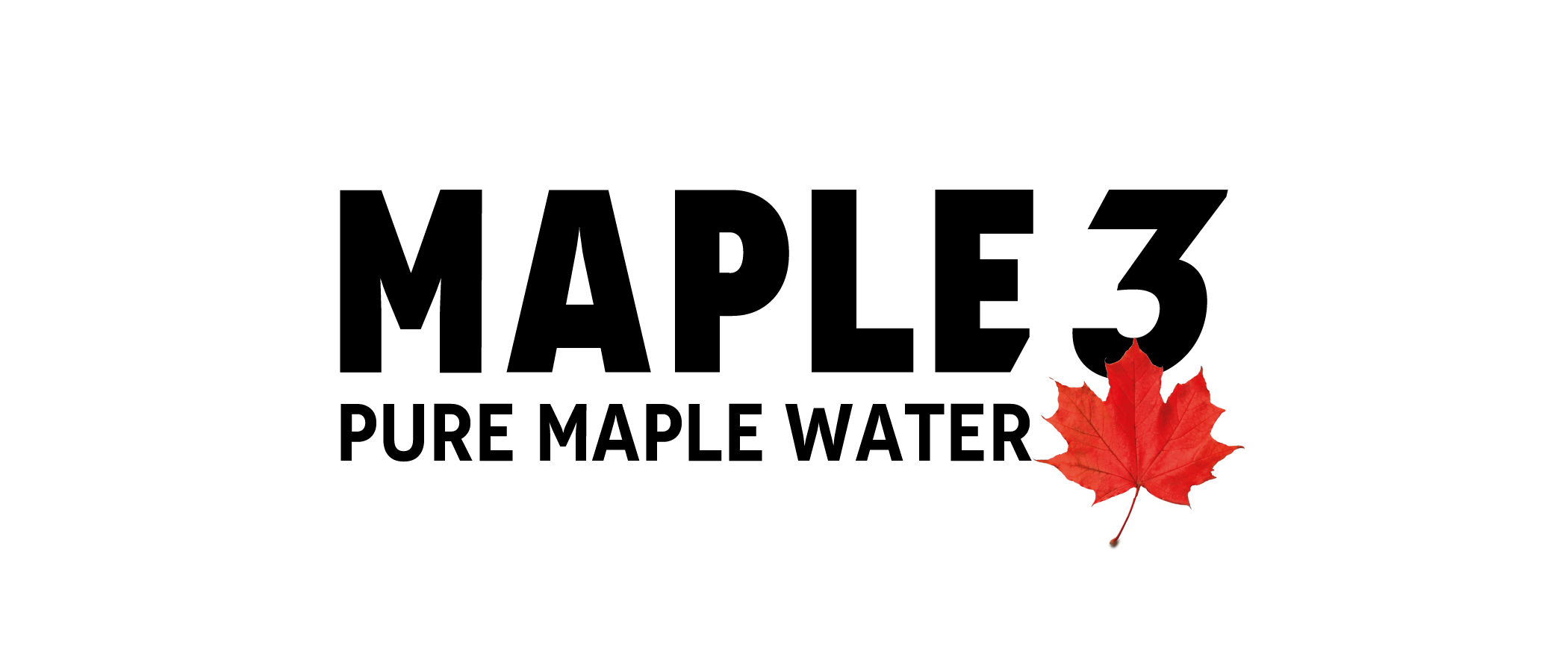 MAPLE 3_signature_variation_Couleur_PMS-01