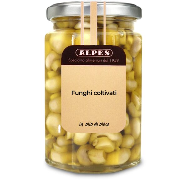 Funghi coltivati in olio di oliva - Vasetto da 290g